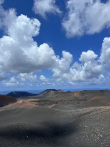 IUNIT University Center